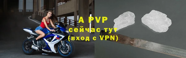 прущие крисы Покачи