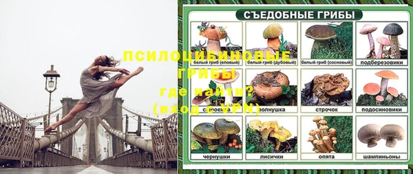 прущие крисы Покачи