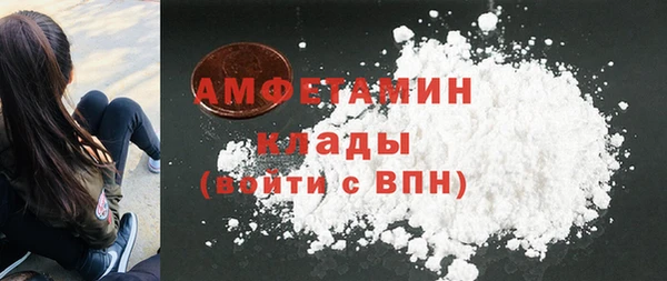 прущие грибы Сковородино