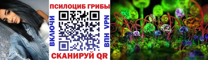 купить наркоту  Первоуральск  Псилоцибиновые грибы мухоморы 