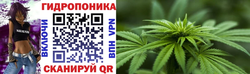 Шишки марихуана конопля Первоуральск
